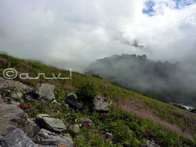 beautiful-view-valley-of-flower-trek-blog-cloud-rain-mountains