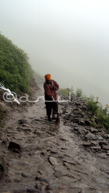 ngo-workers-edc-bhyundar-cleaning-trails-hemkund-valley-of-flowers-curated-experiences-and-impressions