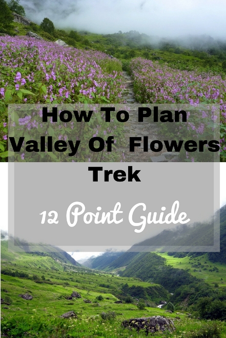 valley-of-flowers-trek-blog-difficulty-cost-uttarakhand #travel #trek #valleyofflowers #flowers #Unesco #nature #india #hiking