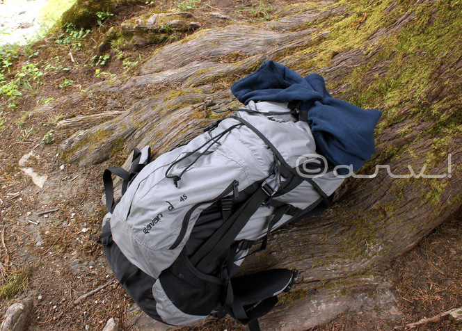 review-of-wildcraft-india-saavan-d-45-backpack-rucksack